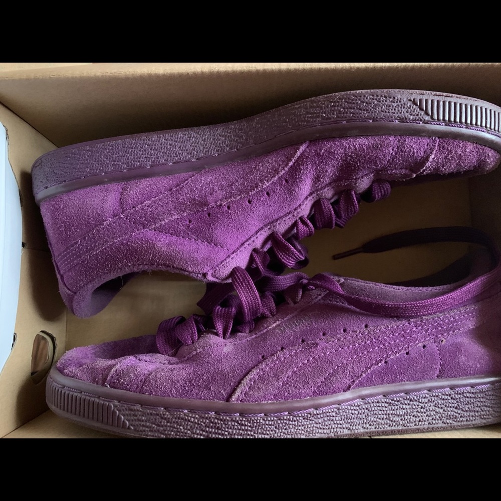 pumas - Picture 2 of 2